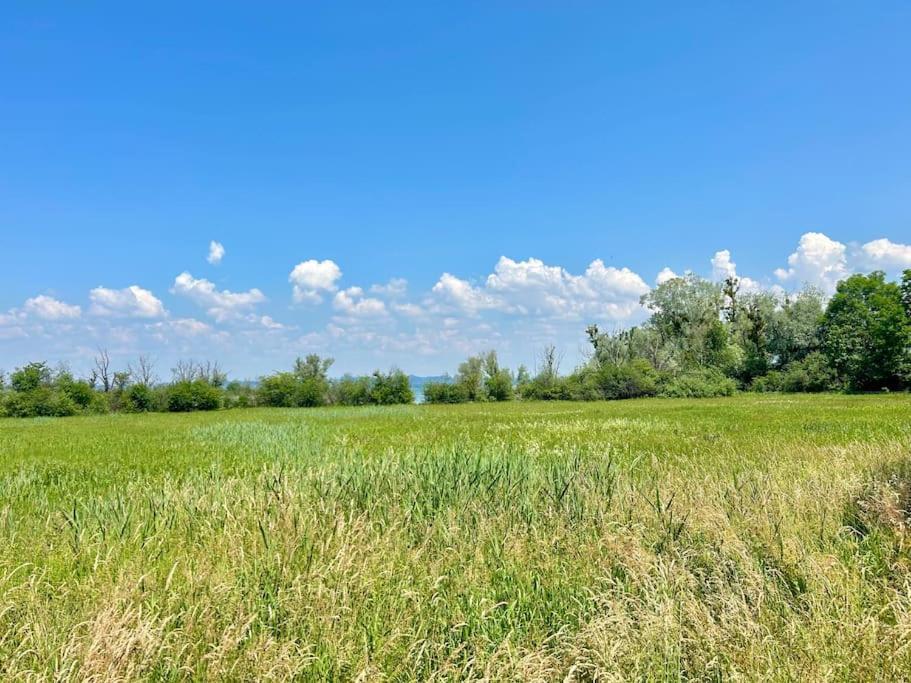 Seeparkvilla - Wohlfuehlen Am See Und Im Gruenen Μπρέγκενζ Εξωτερικό φωτογραφία
